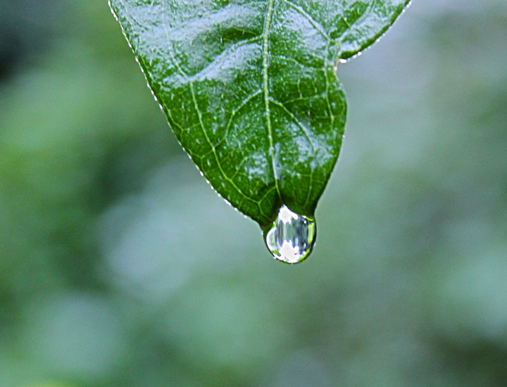电话轰在线轰炸平台自助下单