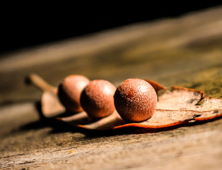 短信免费轰炸网页入口